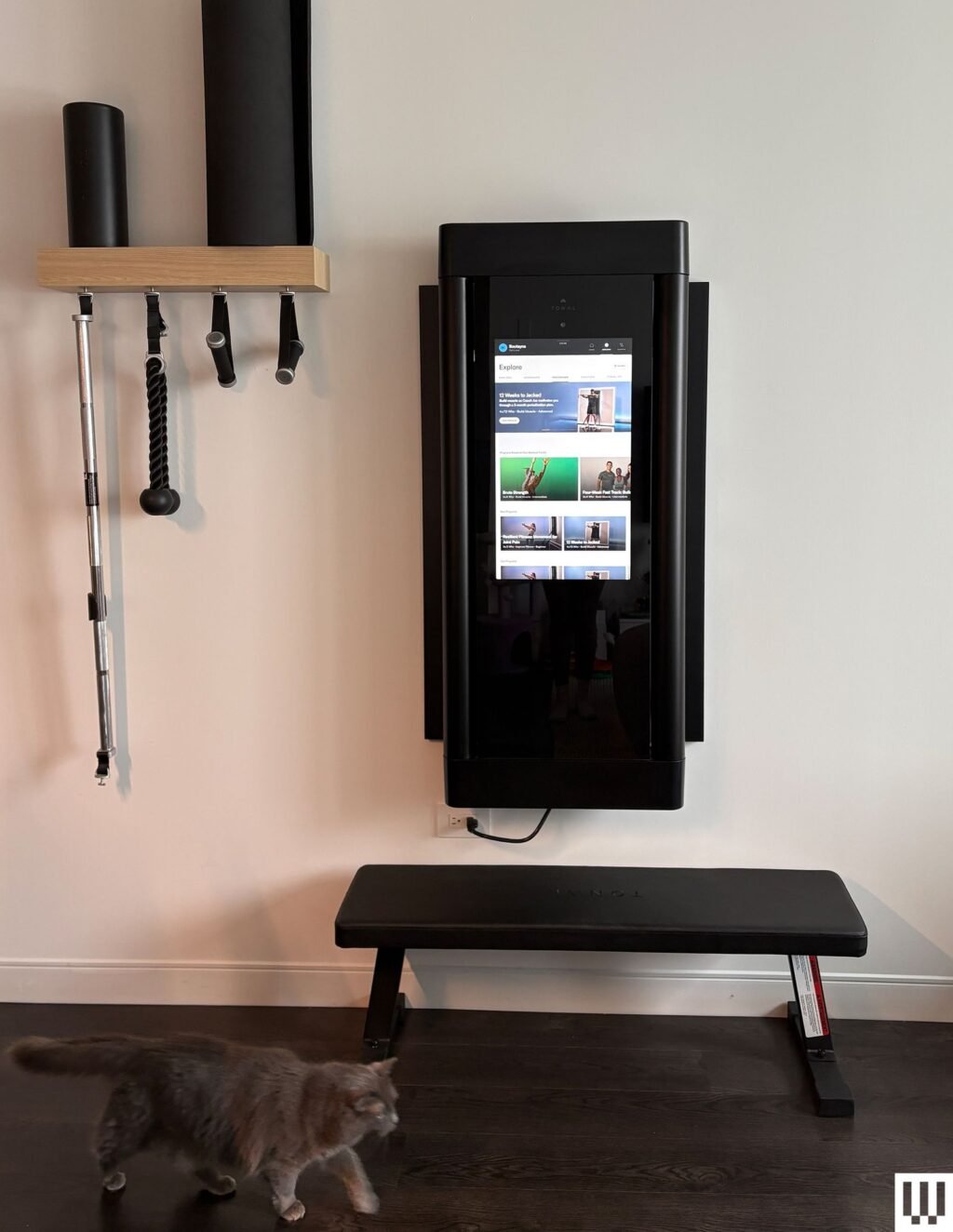 Tonal 2 Review: Smarter Strength Training