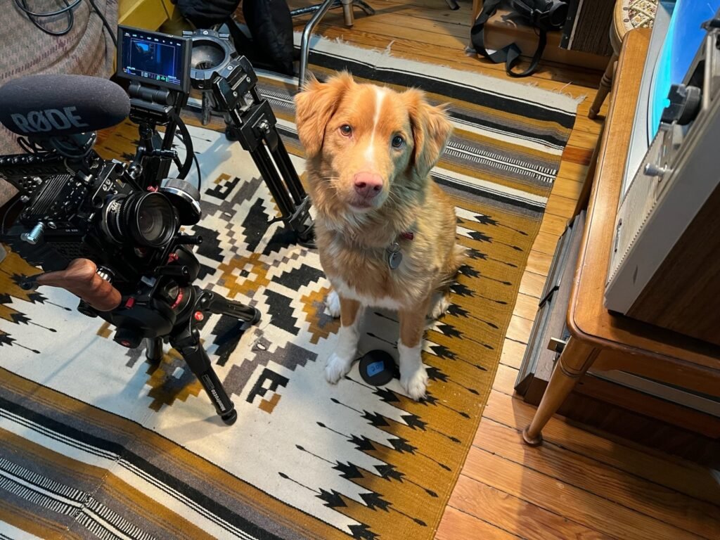 Indy, the dog star, behind the scenes of