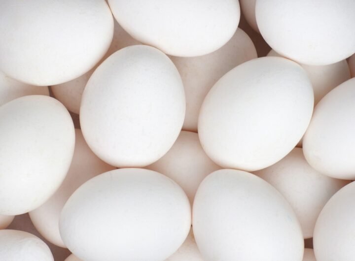 A lot of white eggs
